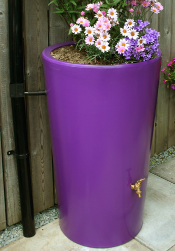 The City Water Garden Water Butt Planter - Purple