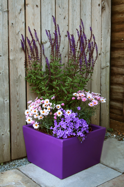 Meldreth Garden Planter - Purple