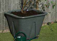 Winchester Self-Watering Planter