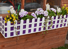 The Cottage Window Box - Purple