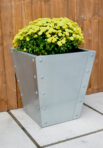 Galvanised garden planter with flowers