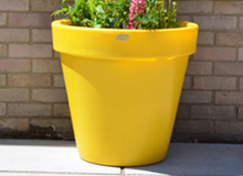 The Classic Planter - Yellow