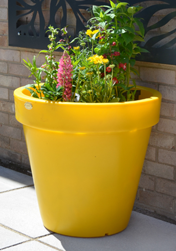 Yellow garden planter