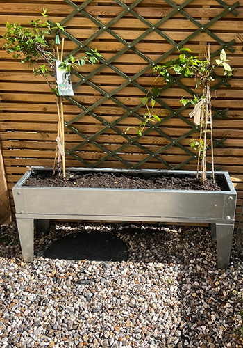 raised bed in a garden