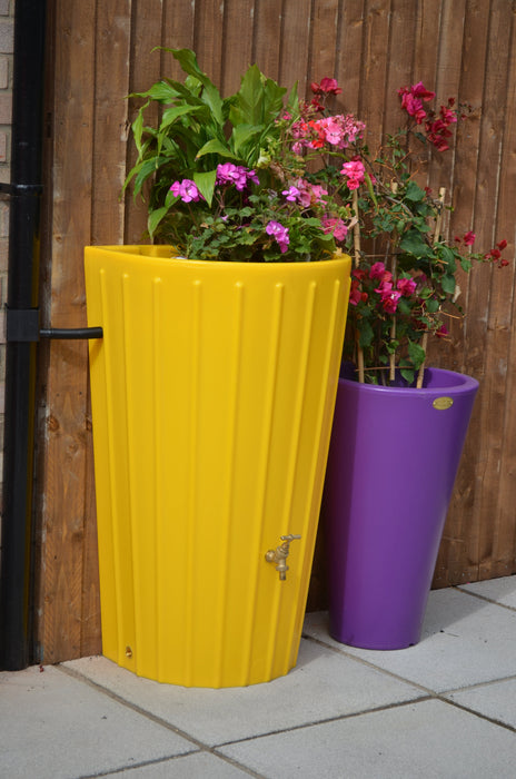 bright yellow water butt planter