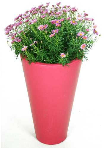 Ashwell Garden Planter In Pink