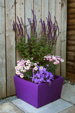 Meldreth Garden Planter In Purple